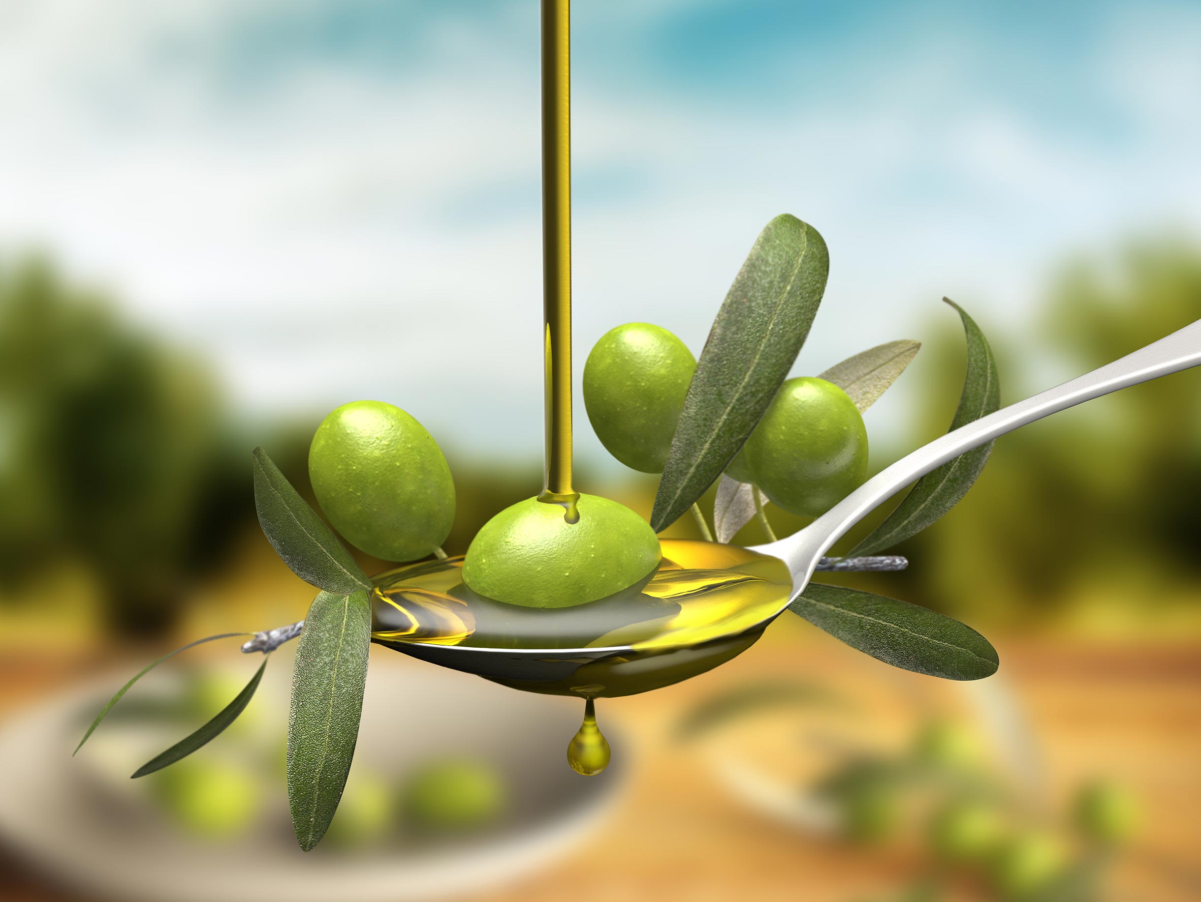 olive-lu-cute-salento